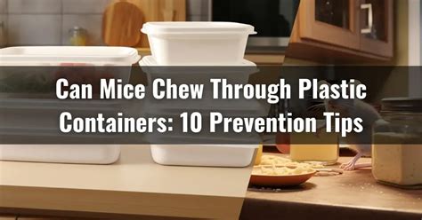 Can Mice Chew Through Plastic Containers: A Journey into the Unexpected Realms of Rodent Behavior and Beyond