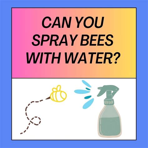 Can You Spray Pepper Spray at Bees? Exploring the Buzz Around This Unusual Idea