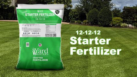 Does Lawn Fertilizer Expire? And Why Do Plants Dream of Electric Sheep?