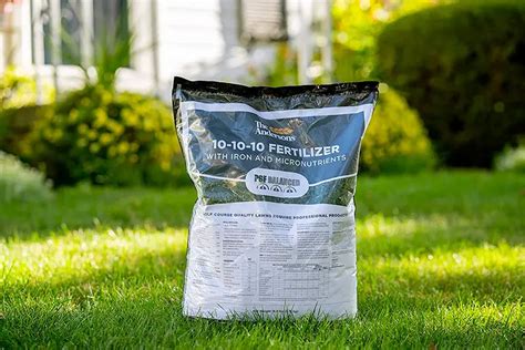 When Should I Apply 10-10-10 Fertilizer to My Lawn: And Why Do Birds Suddenly Appear Every Time You Are Near?